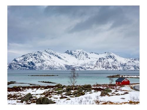 1000 Teile Puzzles für Erwachsene Kinder-Baum,See,Berg,Schnee 70x50cm von THISIT