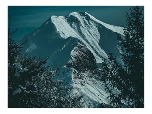 1000 Teile Puzzles für Erwachsene Kinder-Berge,Schnee,Fichten,Hang 70x50cm von THISIT