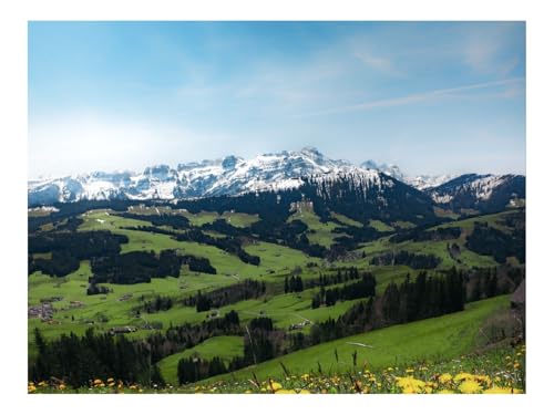 1000 Teile Puzzles für Erwachsene Kinder-Berge,Tal,Gras,Blumen,Landschaft,Sommer 70x50cm von THISIT