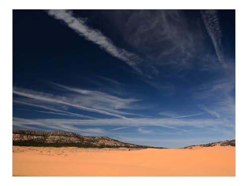 1000 Teile Puzzles für Erwachsene Kinder-Koralle,rosa,Sand,Dünen,Staat,Park 70x50cm 1000 Teile Puzzles für Erwachsene Kinder-Koralle,rosa,Sand,Dünen,Staat,Park 70x50cm von THISIT