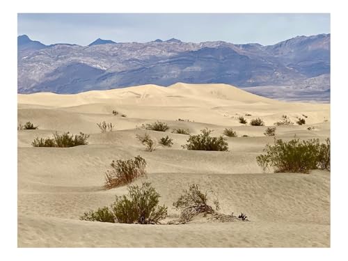1000 Teile Puzzles für Erwachsene Kinder-Wüste,Dünen,Berge 70x50cm von THISIT