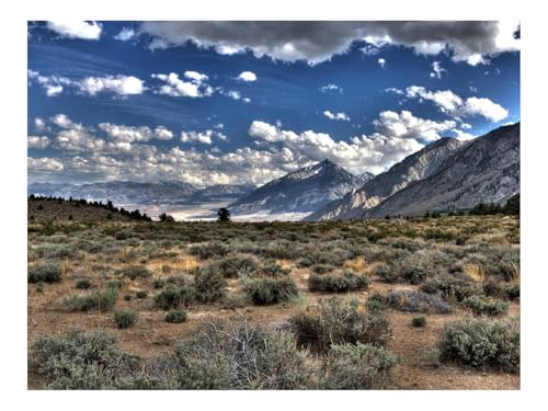 1000 Teile Puzzles für Erwachsene Kinder-Wüste,Vegetation,Berge 70x50cm von THISIT