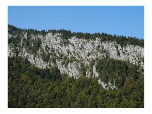 1000 Teile Puzzles für Erwachsene PäDagogisches Spiel-Berg,Felsen,Bäume,Landschaft 70x50cm von THISIT