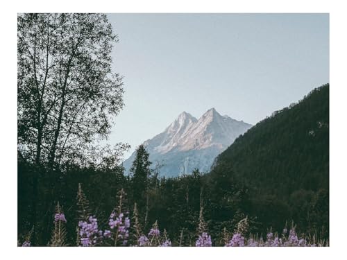 1000 Teile Puzzles für Erwachsene PäDagogisches Spiel-Berge,Gipfel,Blumen,Zweige 70x50cm von THISIT