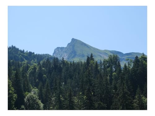 1000 Teile Puzzles für Erwachsene PäDagogisches Spiel-Berge,Wälder,Bäume,Landschaft,Luftaufnahme 70x50cm von THISIT
