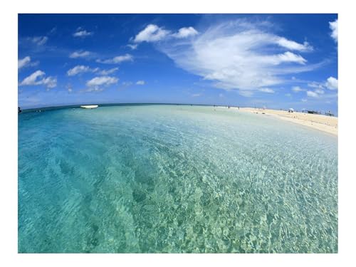 1000 Teile Puzzles für Erwachsene PäDagogisches Spiel-Golf,Wasser,Transparent,Sand,Küste,Strand,Himmel 70x50cm von THISIT