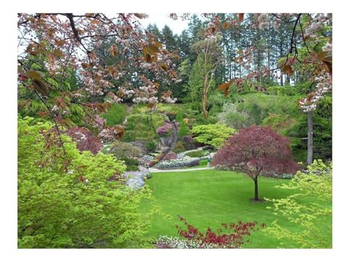 1000 Teile Puzzles für Erwachsene PäDagogisches Spiel-Kanada,Victoria,Butchart,Zweige,Design 70x50cm 1000 Teile Puzzles für Erwachsene PäDagogisches Spiel-Kanada,Victoria,Butchart,Zweige,Design 70x50cm von THISIT