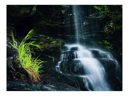 1000 Teile Puzzles für Erwachsene PäDagogisches Spiel-Wasserfall,Kaskade,Steine,Natur 70x50cm von THISIT