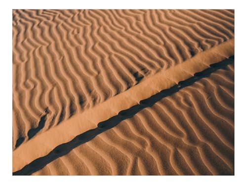 1000 Teile Puzzles für Erwachsene PäDagogisches Spiel-Wüste,Sand,Wellen 70x50cm von THISIT