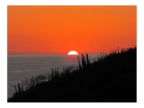 1000 Teile WunderschöNes Dekoration Puzzle Geschenke-Meer,Sonnenuntergang,Sonne,Horizont,Dunkel 70x50cm 1000 Teile WunderschöNes Dekoration Puzzle Geschenke-Meer,Sonnenuntergang,Sonne,Horizont,Dunkel 70x50cm von THISIT