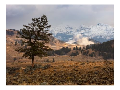 1000 Teilige Puzzles für Erwachsene Lernspiel-Baum,Berge,Hügel,Relief,Natur 70x50cm 1000 Teilige Puzzles für Erwachsene Lernspiel-Baum,Berge,Hügel,Relief,Natur 70x50cm von THISIT