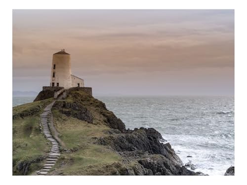 1000 Teilige Puzzles für Erwachsene Lernspiel-Gebäude,Leuchtturm,Felsen 70x50cm von THISIT