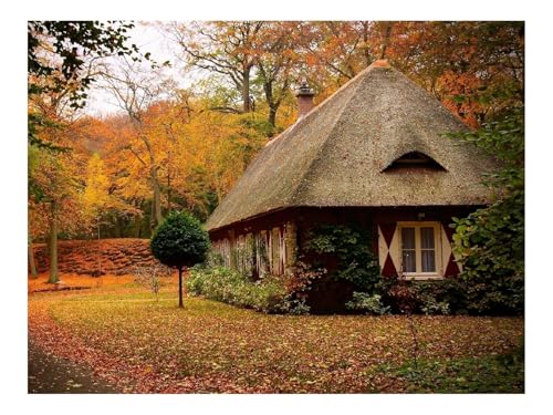 1000 Teilige Puzzles für Erwachsene Lernspiel-Hütten,Wälder,Herbst 70x50cm von THISIT