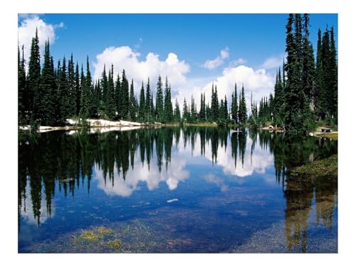 1000 Teilige Puzzles für Erwachsene Lernspiel-Kanada,See,Küste 70x50cm 1000 Teilige Puzzles für Erwachsene Lernspiel-Kanada,See,Küste 70x50cm von THISIT