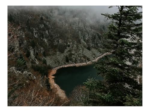 1000 Teilige Puzzles für Erwachsene Lernspiel-Klippe,Ufer,Bäume 70x50cm von THISIT