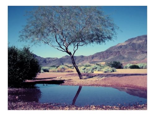 1500 Teile Erwachsenenpuzzle ab 14 Jahren-Baum,Strauch,Pool,Spiegelung,Berge 87x57cm von THISIT
