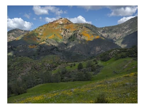 1500 Teile Erwachsenenpuzzle ab 14 Jahren-Berge,Hügel,Gras,Blumen,Landschaft 87x57cm 1500 Teile Erwachsenenpuzzle ab 14 Jahren-Berge,Hügel,Gras,Blumen,Landschaft 87x57cm von THISIT