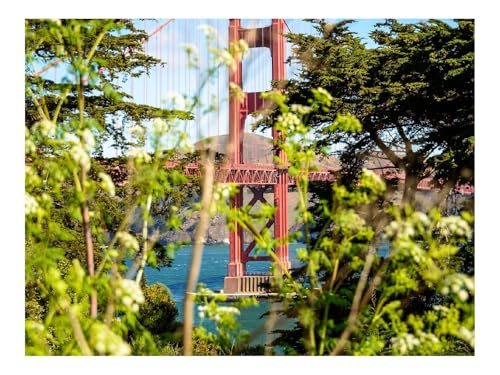 1500 Teile Erwachsenenpuzzle ab 14 Jahren-Brücke,Bäume,Büsche 87x57cm 1500 Teile Erwachsenenpuzzle ab 14 Jahren-Brücke,Bäume,Büsche 87x57cm von THISIT