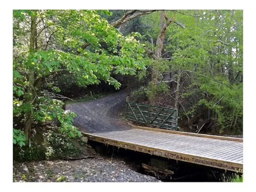 1500 Teile Erwachsenenpuzzle ab 14 Jahren-Brücke,Straße,Bäume 87x57cm von THISIT