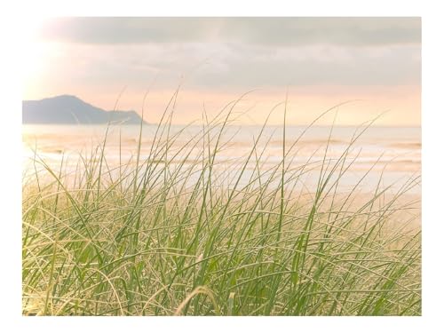 1500 Teile Erwachsenenpuzzle ab 14 Jahren-Gras,Meer,Küste,Natur 87x57cm von THISIT
