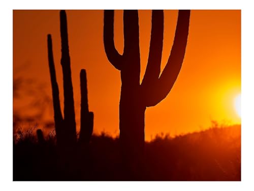 1500 Teile Erwachsenenpuzzle ab 14 Jahren-Kakteen,Sonnenuntergang,Dämmerung 87x57cm 1500 Teile Erwachsenenpuzzle ab 14 Jahren-Kakteen,Sonnenuntergang,Dämmerung 87x57cm von THISIT