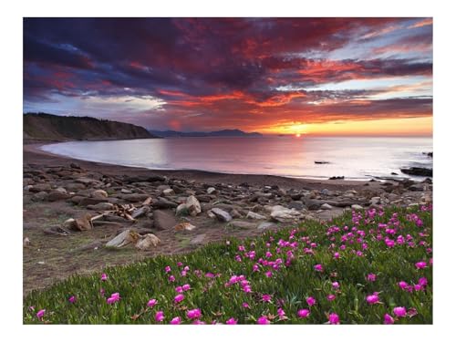 1500 Teile Erwachsenenpuzzle ab 14 Jahren-Klee,Küste,Steine 87x57cm 1500 Teile Erwachsenenpuzzle ab 14 Jahren-Klee,Küste,Steine 87x57cm von THISIT