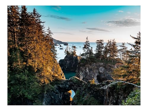 1500 Teile Erwachsenenpuzzle ab 14 Jahren-Küste,Felsen,Bäume 87x57cm von THISIT