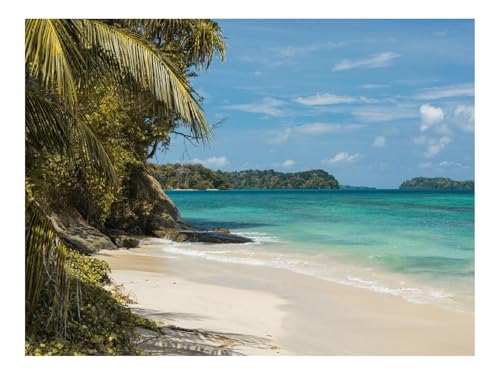 1500 Teile Erwachsenenpuzzle ab 14 Jahren-Küste,Palmen,Sand 87x57cm von THISIT