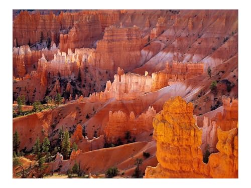 1500 Teile Erwachsenenpuzzle ab 14 Jahren-Schluchten,Wüste,Bäume 87x57cm 1500 Teile Erwachsenenpuzzle ab 14 Jahren-Schluchten,Wüste,Bäume 87x57cm von THISIT