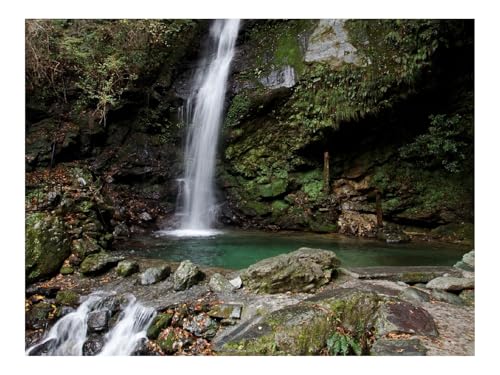 1500 Teile Erwachsenenpuzzle ab 14 Jahren-Wasserfall,Steine,Moos,Bäume 87x57cm von THISIT
