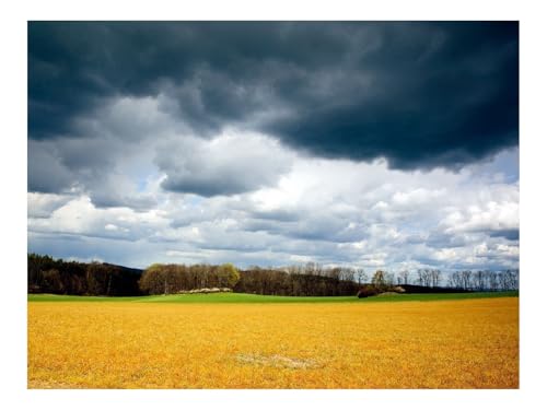 1500 Teile Erwachsenenpuzzle ab 14 Jahren-Wolken,Feld,Himmel 87x57cm 1500 Teile Erwachsenenpuzzle ab 14 Jahren-Wolken,Feld,Himmel 87x57cm von THISIT
