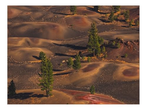 1500 Teile Erwachsenenpuzzle ab 14 Jahren-Wüste,Hügel,Bäume 87x57cm 1500 Teile Erwachsenenpuzzle ab 14 Jahren-Wüste,Hügel,Bäume 87x57cm von THISIT