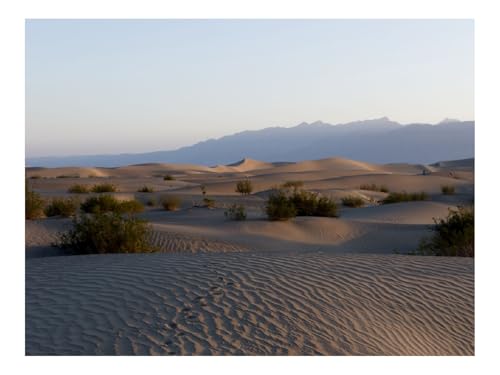 1500 Teile Erwachsenenpuzzle ab 14 Jahren-Wüste,Sand,Spuren 87x57cm 1500 Teile Erwachsenenpuzzle ab 14 Jahren-Wüste,Sand,Spuren 87x57cm von THISIT
