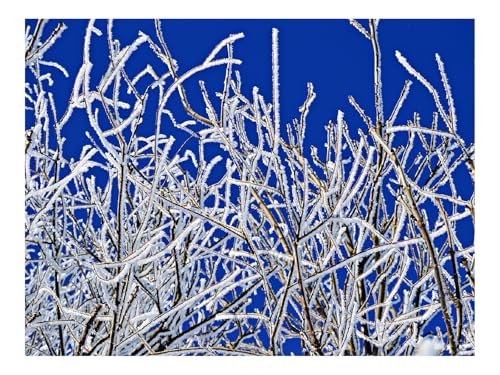 1500 Teile Erwachsenenpuzzle ab 14 Jahren-Zweige,Frost 87x57cm 1500 Teile Erwachsenenpuzzle ab 14 Jahren-Zweige,Frost 87x57cm von THISIT