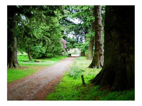 1500 Teile Klassisches Puzzle für Erwachsene Und Kinder-Äste,Baum,Fragmente 87x57cm 1500 Teile Klassisches Puzzle für Erwachsene Und Kinder-Äste,Baum,Fragmente 87x57cm von THISIT