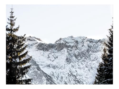 1500 Teile Puzzle Erwachsene-Berge,Felsen,Schnee,Schneebedeckt,Fichte,Himmel 87x57cm von THISIT
