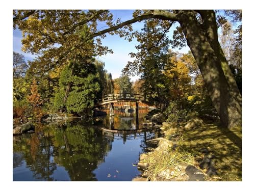 1500 Teile Puzzle Erwachsene-Brücke,Bogen,Teich 87x57cm 1500 Teile Puzzle Erwachsene-Brücke,Bogen,Teich 87x57cm von THISIT