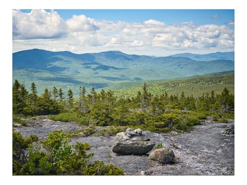 1500 Teile Puzzle Erwachsene-Steine,Bäume,Berge,Landschaft 87x57cm von THISIT