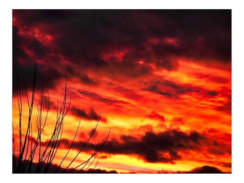 1500 Teile Puzzle Familienspiel für MäNner & Frauen-Zweige,Himmel,Sonnenuntergang 87x57cm 1500 Teile Puzzle Familienspiel für MäNner & Frauen-Zweige,Himmel,Sonnenuntergang 87x57cm von THISIT