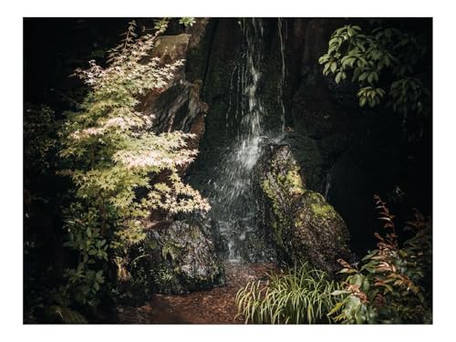 1500 Teile Puzzle Puzzlespiele für Die Ganze Familie-Bach,Steine,Blätter,Natur 87x57cm von THISIT