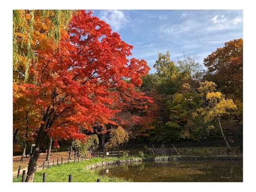 1500 Teile Puzzle Puzzlespiele für Die Ganze Familie-Bäume,See,Herbst,Natur 87x57cm 1500 Teile Puzzle Puzzlespiele für Die Ganze Familie-Bäume,See,Herbst,Natur 87x57cm von THISIT