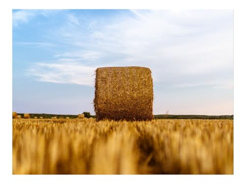 1500 Teile Puzzle Puzzlespiele für Die Ganze Familie-Heuhaufen,Feld,Weizen,Heu,Trocken 87x57cm von THISIT