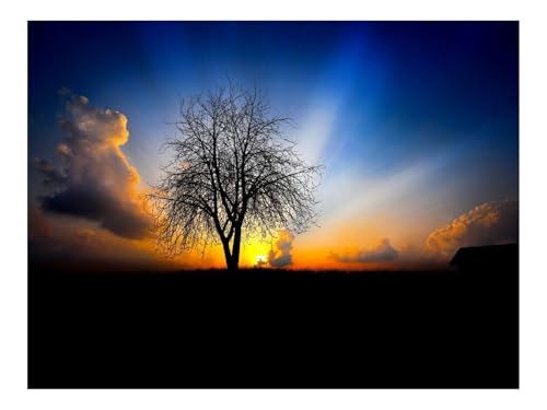 1500 Teile Puzzle für Erwachsene Und Kinder ab 14 Jahren-Baum,Abend,Niedergang,Licht,Balken 87x57cm von THISIT