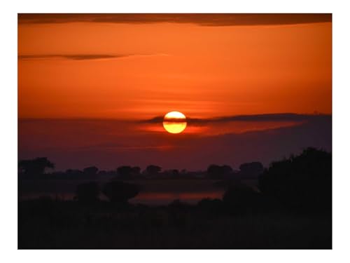 1500 Teile Puzzle für Erwachsene Und Kinder ab 14 Jahren-Sonnenuntergang,Bäume,Sträucher,Dämmerung,Abend 87x57cm 1500 Teile Puzzle für Erwachsene Und Kinder ab 14 Jahren-Sonnenuntergang,Bäume,Sträucher,Dämmerung,Abend 87x57cm von THISIT