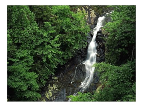 1500 Teile Puzzles-Geschenk,Clevere RäTsel-Wasserfälle,Holz,Steine,Höhe,Bäume,Grün,Felsen 87x57cm 1500 Teile Puzzles-Geschenk,Clevere RäTsel-Wasserfälle,Holz,Steine,Höhe,Bäume,Grün,Felsen 87x57cm von THISIT