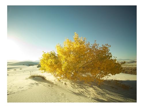 1500 Teile Puzzles-Geschenk,Clevere RäTsel-Wüste,Sand,Baum 87x57cm 1500 Teile Puzzles-Geschenk,Clevere RäTsel-Wüste,Sand,Baum 87x57cm von THISIT