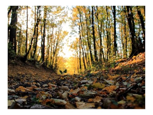 1500 Teile Puzzles – Herausforderung Spielzeug-Blätter,Wälder,Zweige,Bäume 87x57cm von THISIT