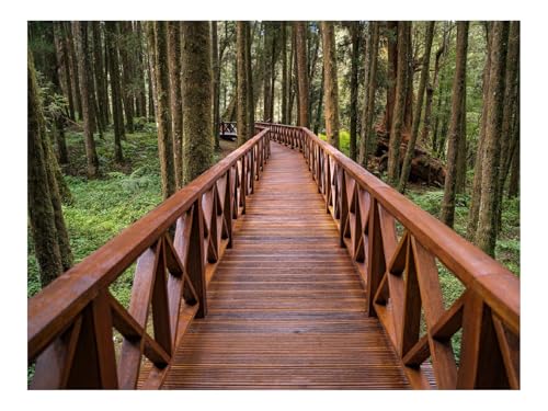 1500 Teile Puzzles – Herausforderung Spielzeug-Brücke,Wälder,Bäume 87x57cm von THISIT