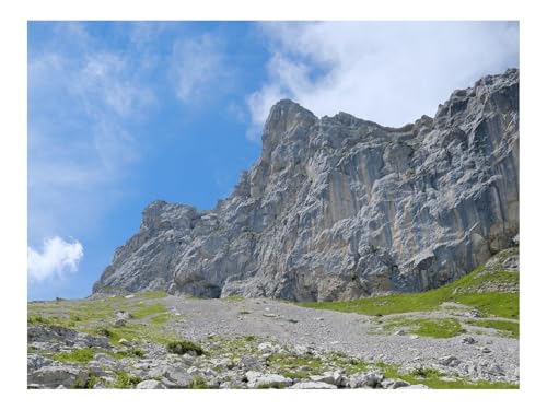 1500 Teile Puzzles – Herausforderung Spielzeug-Fels,Steine,Weg,Gras 87x57cm von THISIT