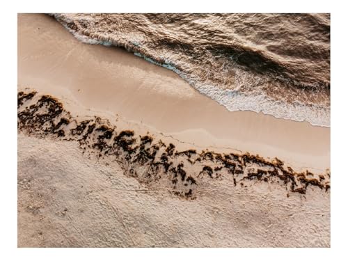 1500 Teile Puzzles – Herausforderung Spielzeug-Meer,Wellen,Strand,Seetang 87x57cm von THISIT
